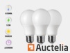 100 x E27 12W Bulb LED bulb, matte (cool white)