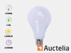 50 x E27 15W Bulb LED bulb, matte (cool white)