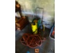 HOZELOCK hose reel, IRONSIDE sprayer, large GARDENA pipe